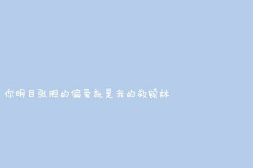 你明目张胆的偏爱就是我救赎