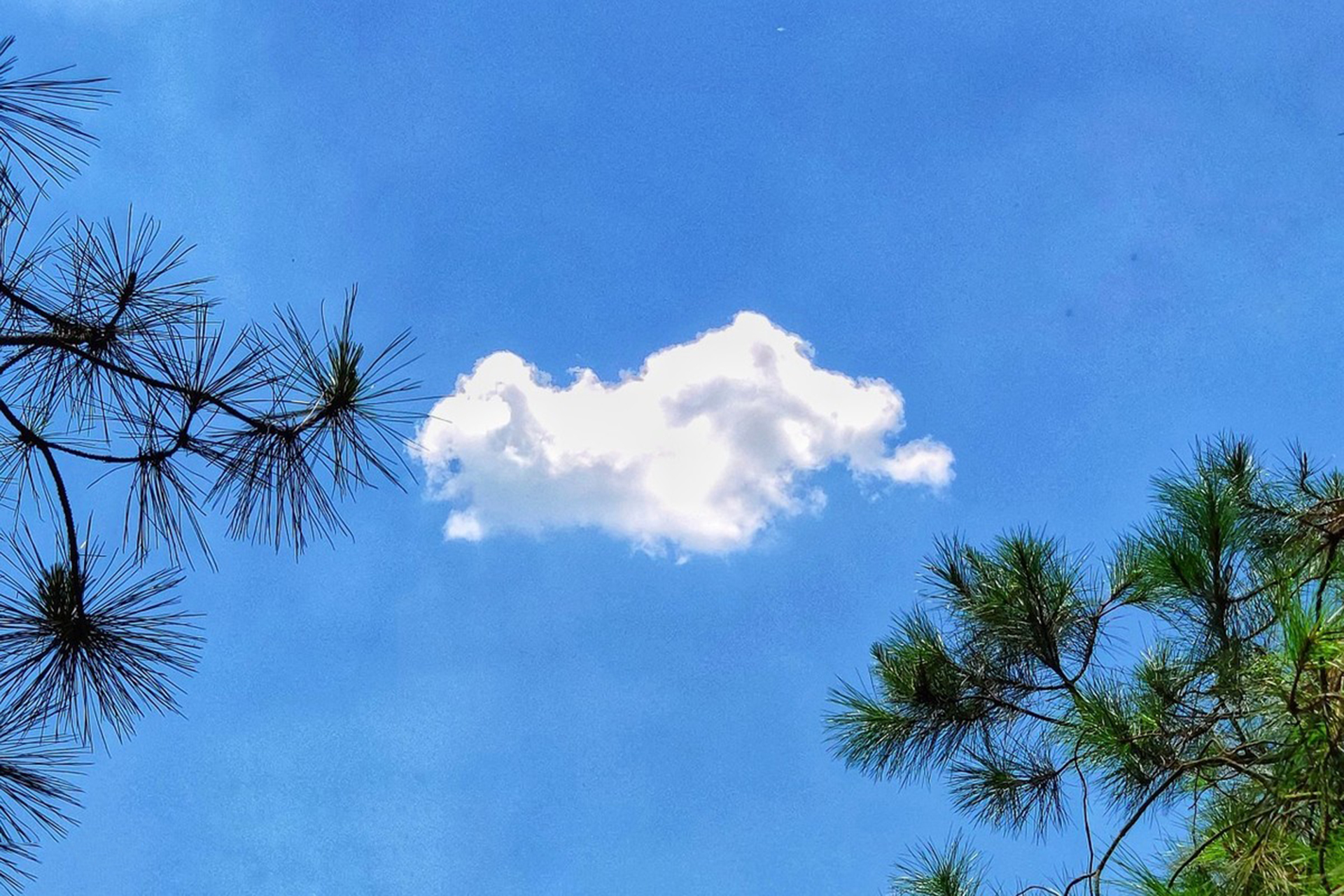 钢琴风中有朵雨做的云太美了