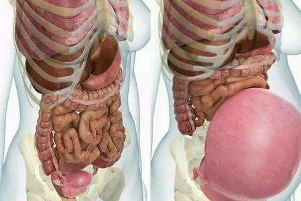 原创 孕妇怀胎十月,内脏都去哪了?一张图让你读懂"母亲的伟大"
