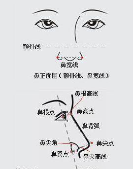 a0d0f55806fe4754ade639677b72dc73.jpeg