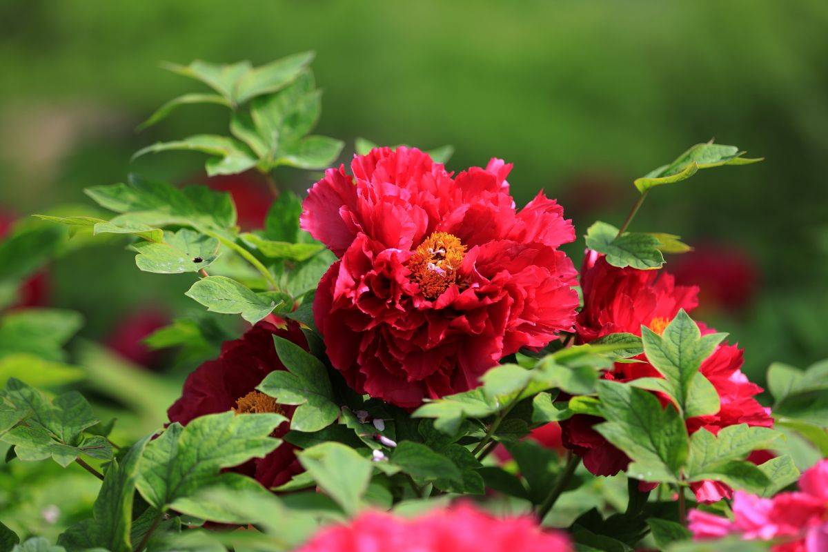 编辑 搜图 请点击输入图片描述 编辑 搜图 请点击输入图片描述 返回搜