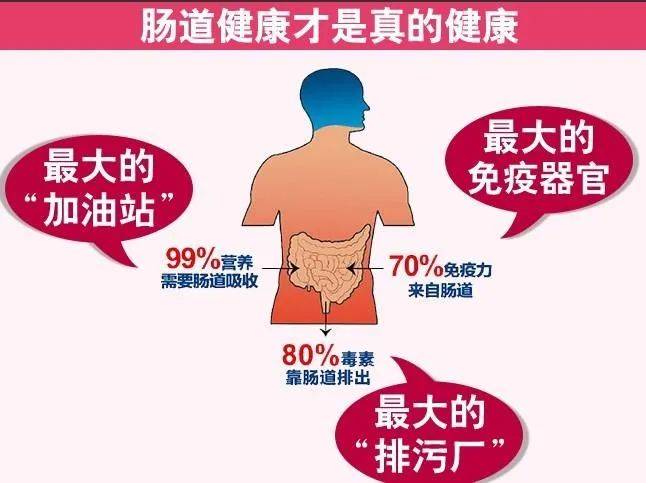 肠道菌群失调了怎么办