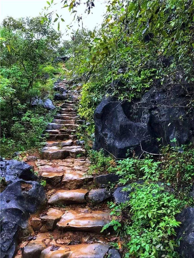 古道旁边就是 秦汉水口古道博物馆