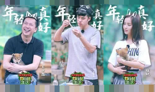 向往的生活大变味，综艺节目为什么总是越做越