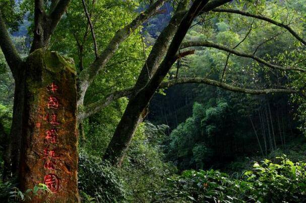 赤水gdp_NO.237 赤水 旅游 扶贫 奏响富民音(2)