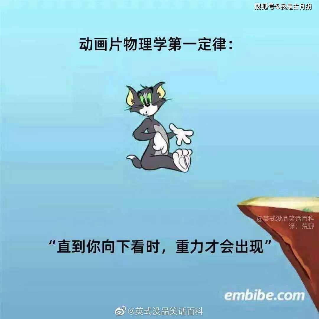 狼什么猫什么成语(3)