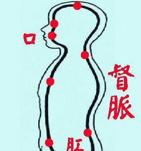哪个动作强肾 15bc48b7957a418fb24e4fd450836f81.jpeg