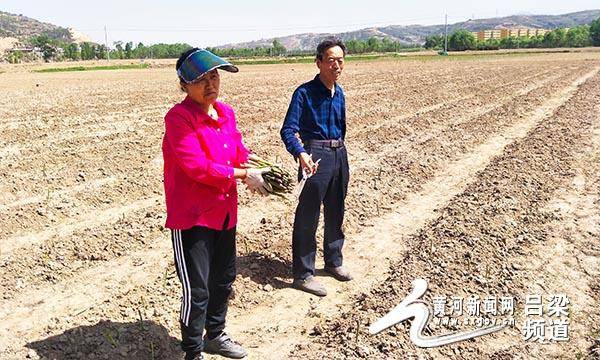 王峪口村人口_稷山佛峪口村图片