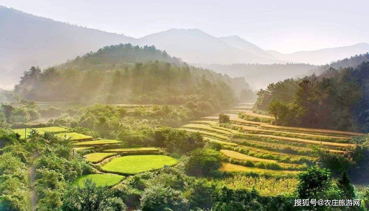 寿县总人口_寿县古城图片(2)