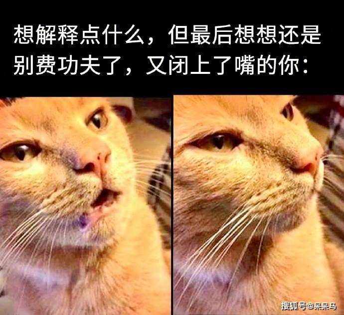 好像越来越多的事情都懒得解释 而且解释了,一般也没用 人的悲欢并