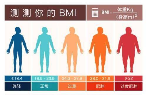 什么是高密度脂蛋白什么是低密度脂蛋白 cb97e7adc81b45bba0c2e83ceae04407.jpeg