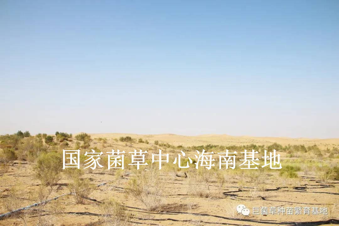 f785b22386c947ef8d2df114b907bcd3.jpeg