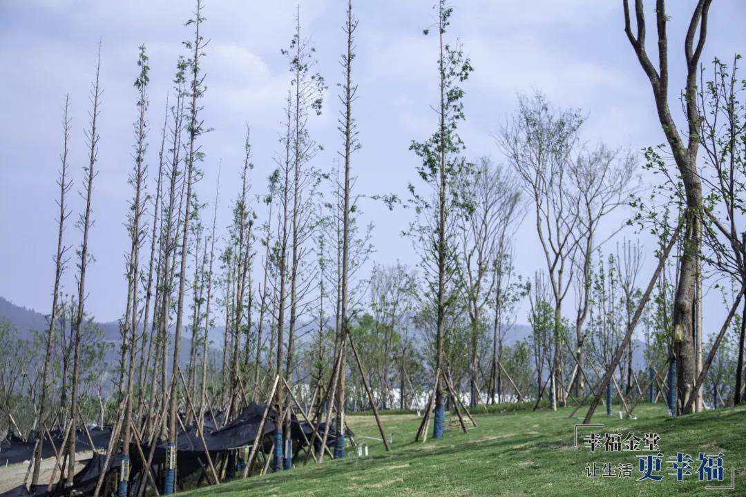 干活人口面积_工地干活图片(2)