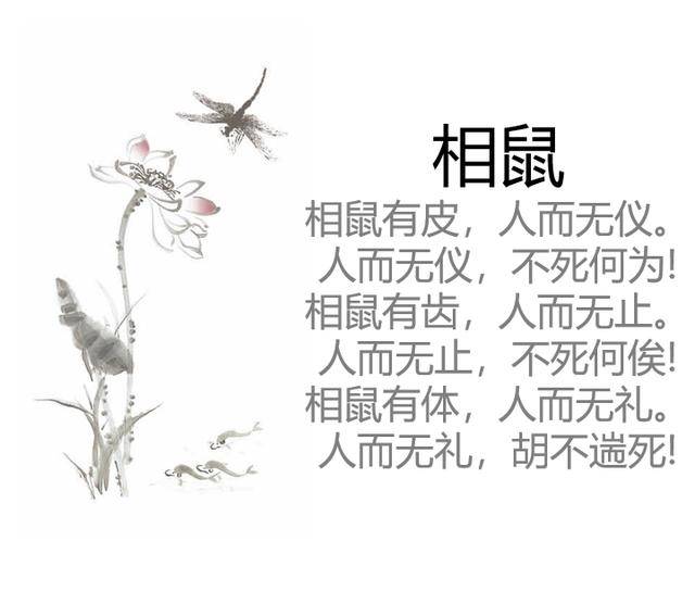 《诗经》最粗鄙的一首诗,言辞直白备受指摘,如今读来却令人叫绝_相鼠