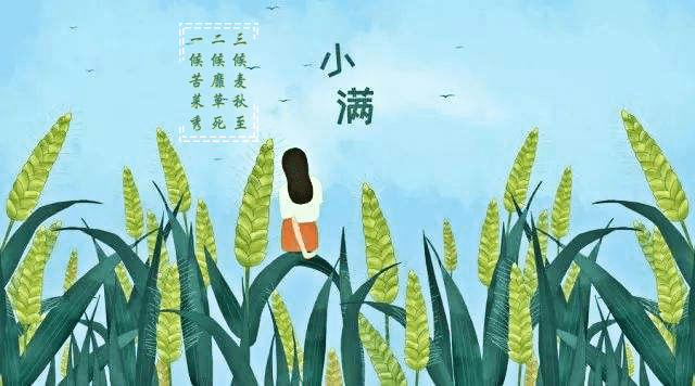 小满节气:最爱垄头麦,迎风笑落红