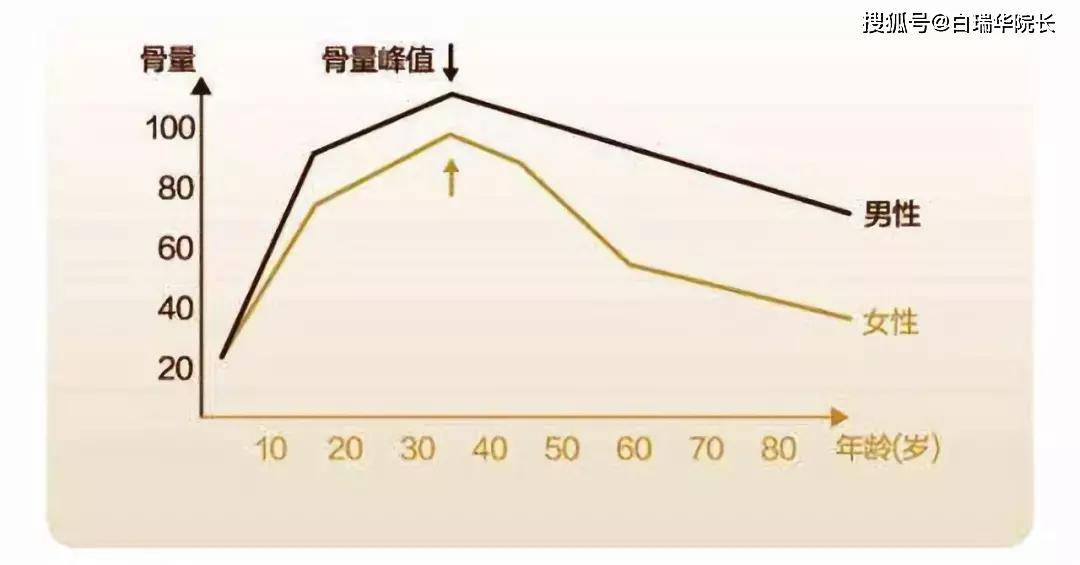 年纪越大骨量流失越重如何留住骨量让骨头变硬