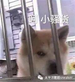 怎么让自己看起来很贵气 e9c6000cefb043e78ecb424a3201064e.jpeg