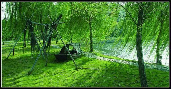 疫情教育、新能效实施：空调未来两大方向是节能与健康-家电圈官网