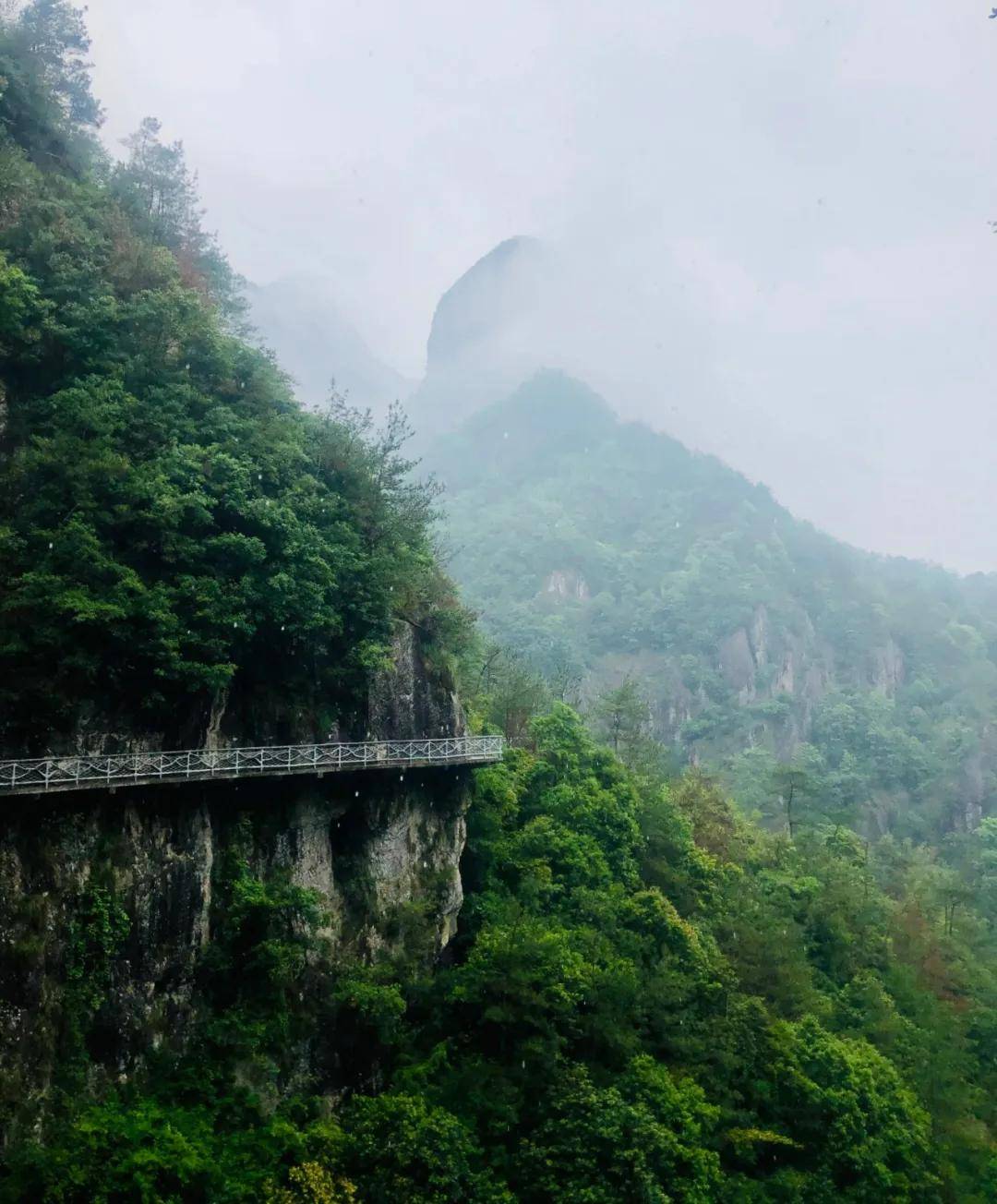 初夏去楠溪江的崖下库二桥绿道追逐绿色的风