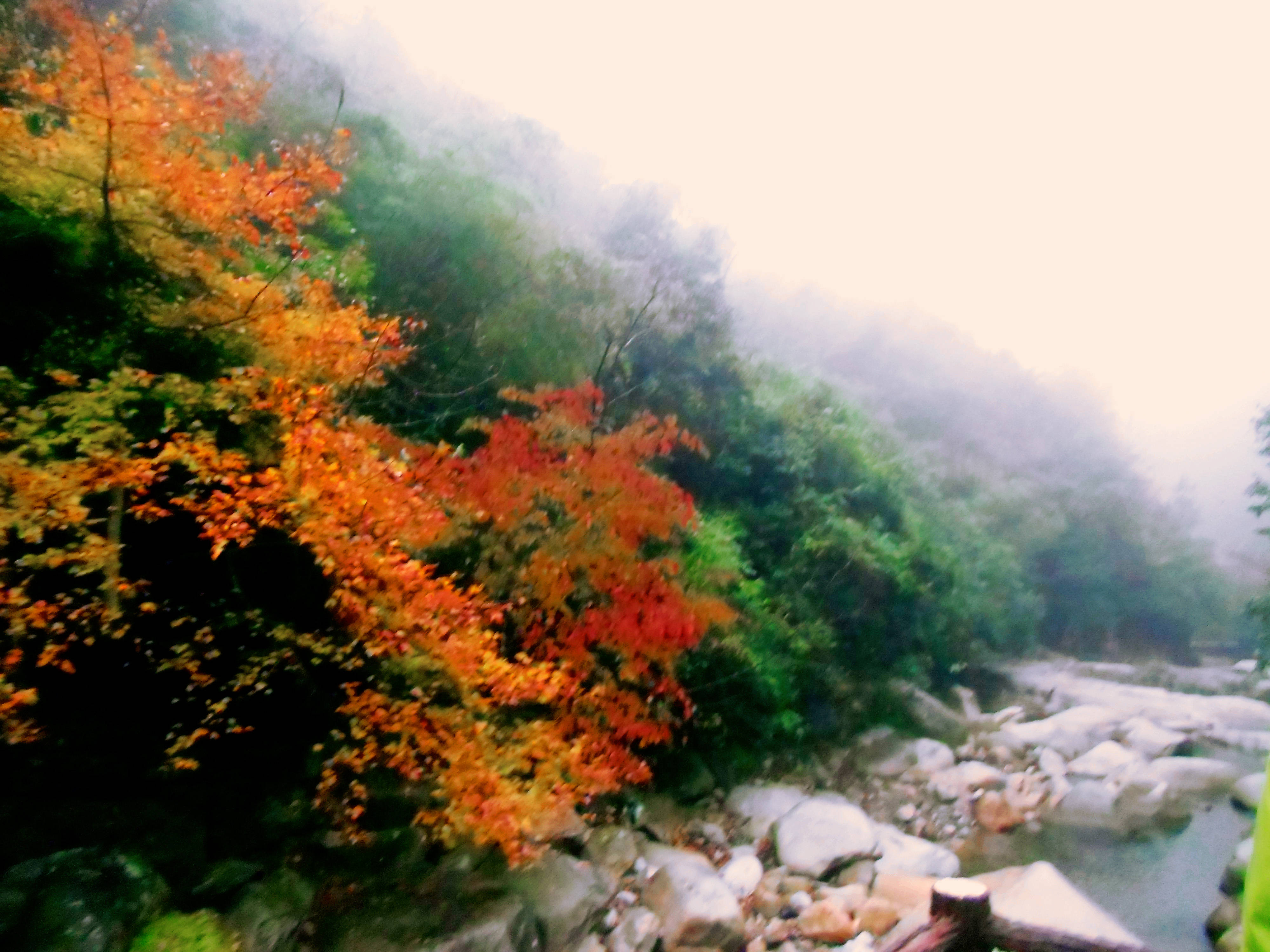 美丽的婺源风景卧龙谷景区