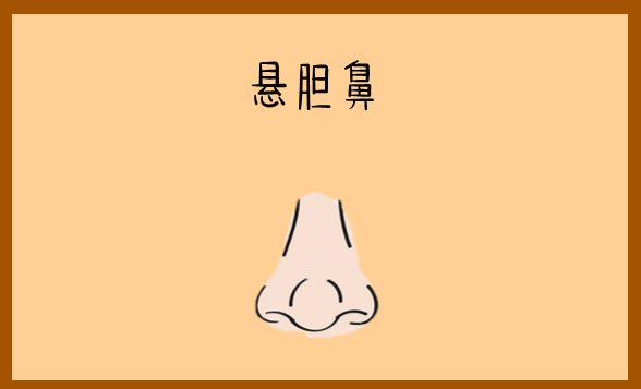 悬胆鼻