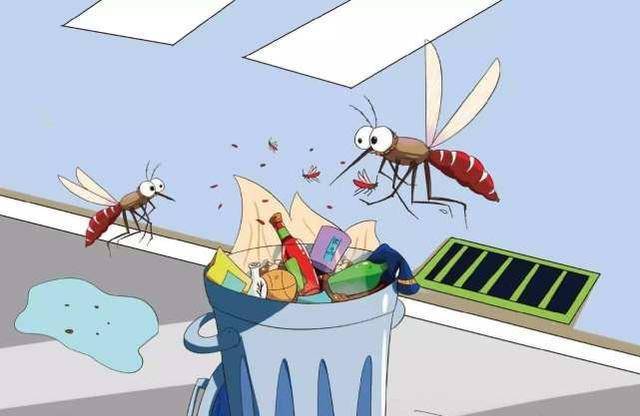 夏天来了,蚊子也睡醒了,怎样才能有效的防止蚊虫叮咬?