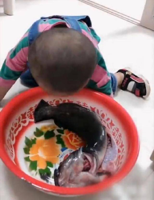 669fafd440744f1dbcad208330589260.jpeg