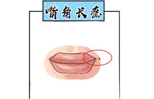 人口手足舌牙耳目_认一认5ppt下载(2)