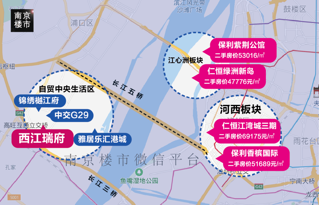 南京新出生人口_南京人口分布图(3)