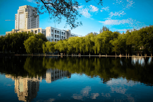 2020河北省考排名大_2020年大学校友会排名:排名第一的学校绝对值得大家