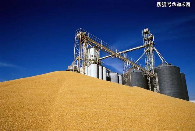 我们日常的饭碗中有多少是中国粮食又有多少是进口粮食呢
