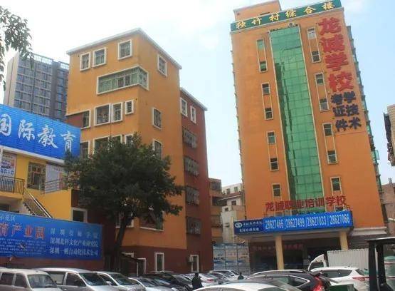 深圳园山街道gdp_深圳gdp变化图(2)