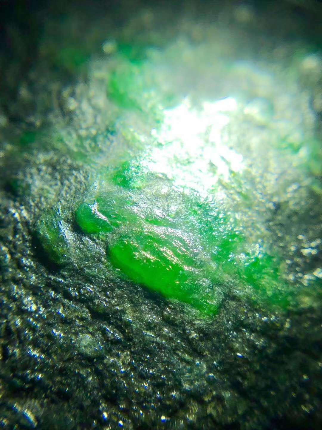 ����������˵����