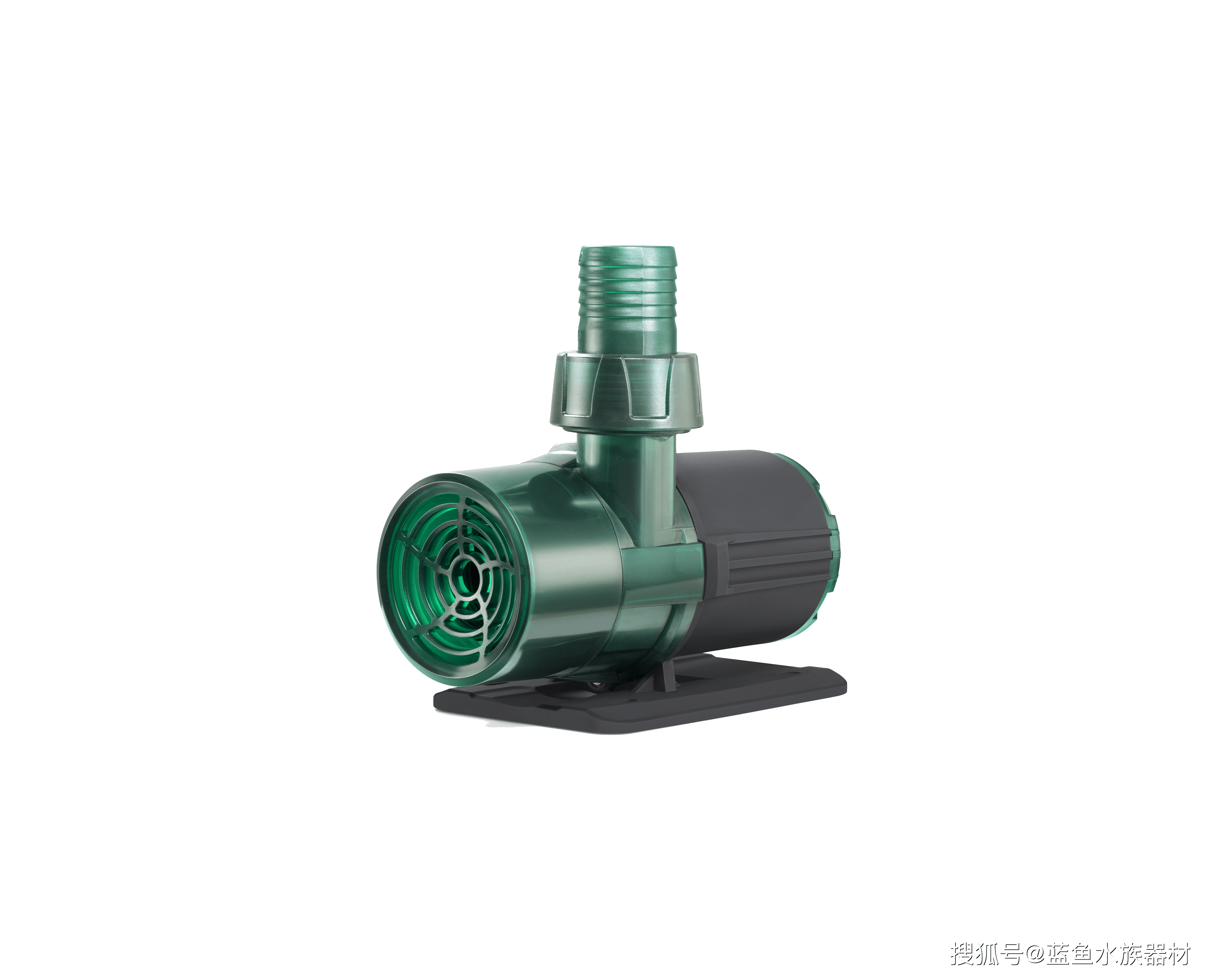 龙鱼|红龙鱼的起源