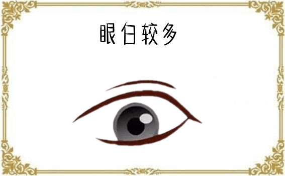四白眼是什么眼 8909626bdd8d4f59be58c97e4ab342c4.png