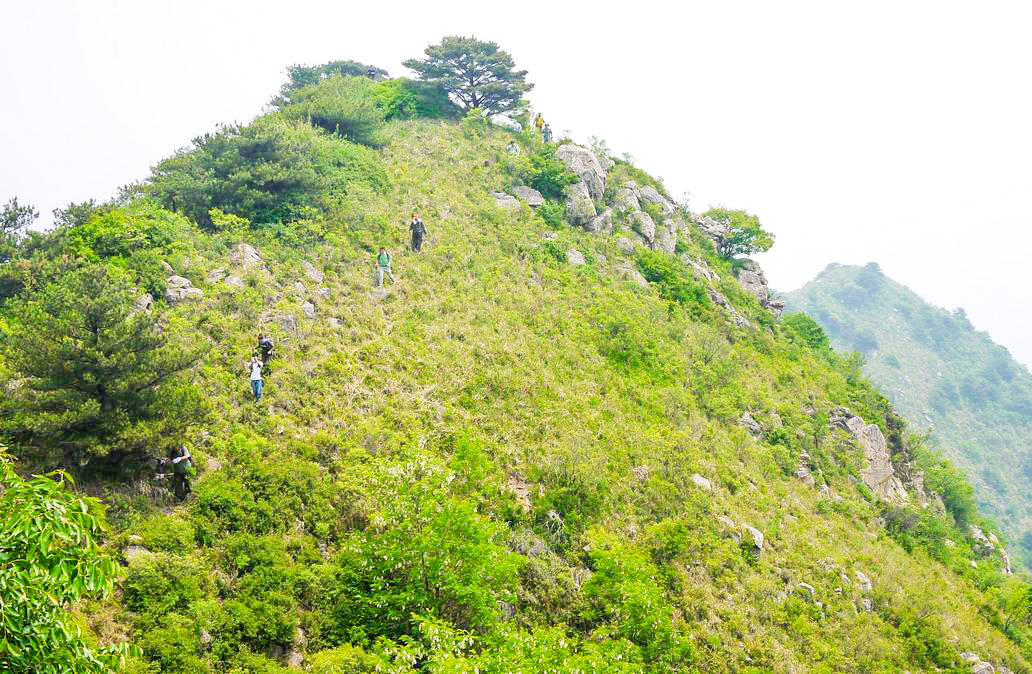 长期以来,很多人都误认为历城西营镇的梯子山是济南最高峰,然而事实上