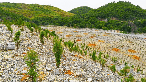 华新水泥打造绿色矿山保护生态系统