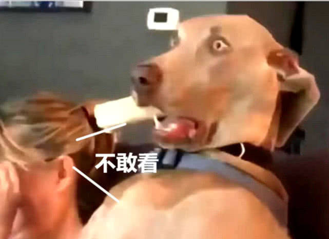 14d18b8752354266b51e1fb05eb95198.jpeg