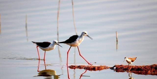 宿迁gdp有望达到三千亿_宿迁市区科目三2号线