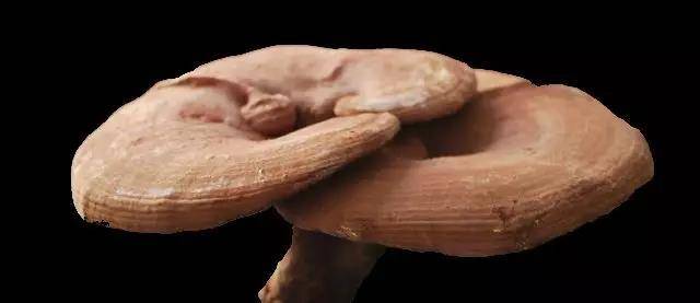 黄河颂朗诵配乐曲谱