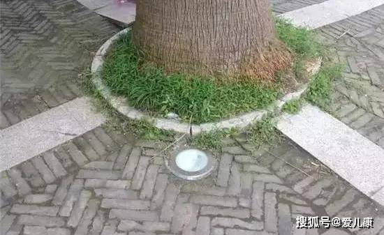 [电梯]男宝手指瞬间粉碎！这件伤娃的东西，很多小区都有…夹一下