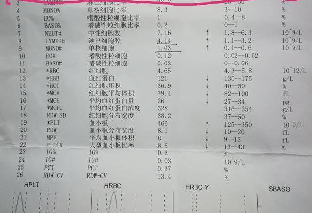 d3cfc57f2c5046c88d38504cd5c52b75.jpeg