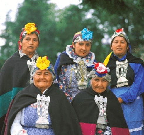 印度gdp多水_印度各邦gdp(3)