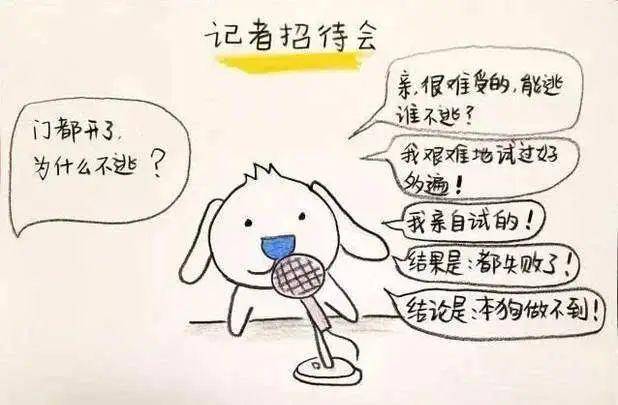 6c7bca93c911421d8e7ef4626720d552.jpeg