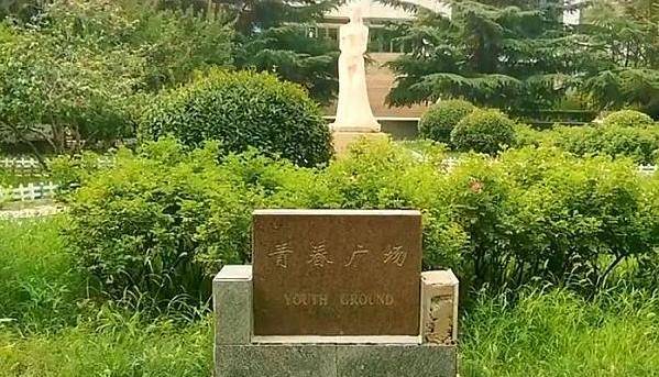 山东这两所学校虽然不是985、211，但深受当地学生喜爱！