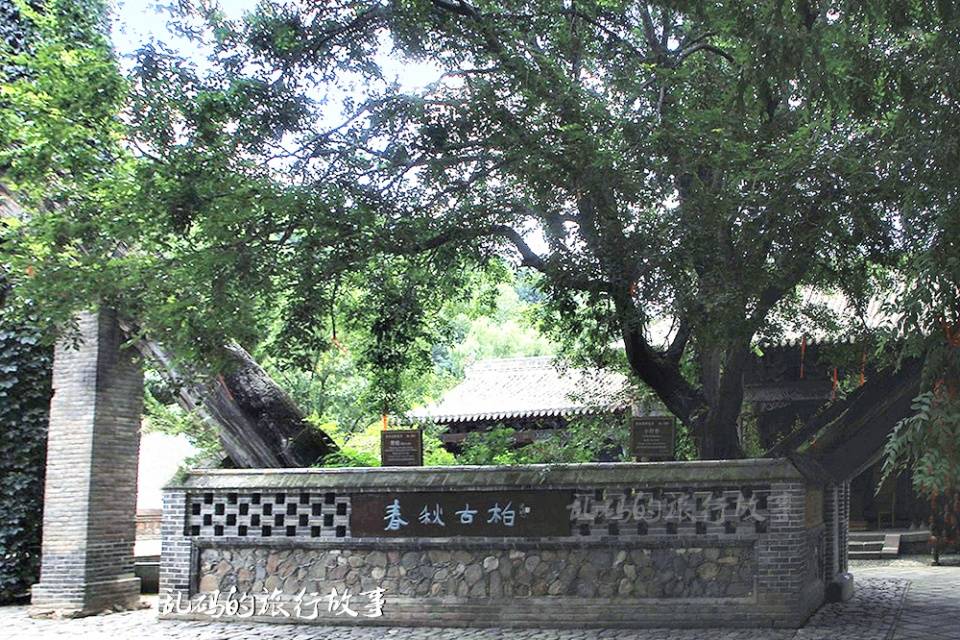 甘肃这座古寺,栽种国内唯一奇树,杜甫在此赋诗117首却少有游客