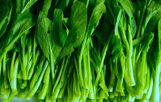 什么季节种什么青菜 e0da577c89f342888663b283095264ff.jpeg