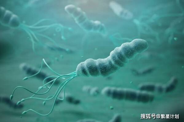 传播|中国式家庭的新困惑