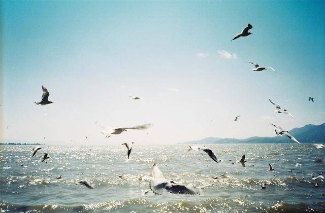 乌鲁木齐2020一季度g_乌鲁木齐规划图2020(3)