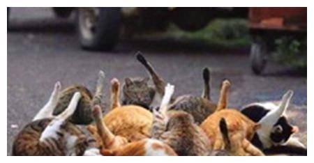 一个茶杯猜成语_看图猜成语(3)